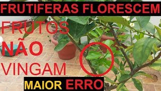 Frutifera floresce mais frutos não vingam saiba como resolver  Frutiferas em vaso [upl. by Pardo]