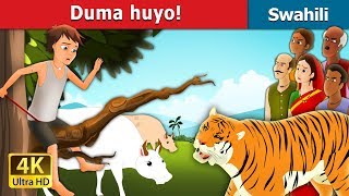 Duma huyo  There comes the Tiger in Swahili  Swahili Fairy Tales [upl. by Kwok183]