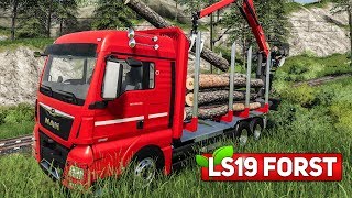 LS19 FORST 1 Baumfällarbeiten an der Bahnstrecke  LANDWIRTSCHAFTS SIMULATOR 2019 [upl. by Fast]