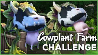 Cowplant Farming is Risky Business 🐄🌱 Sims 4 Cowplant Farm Episode 41 [upl. by Favrot]