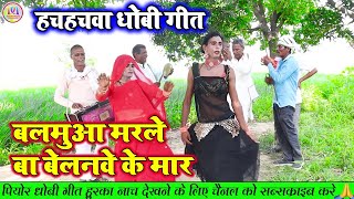 dhobiyagana  बालमुआ मरले बा बेलनवे के मार  bhojpuri dhobi geet video song 2023 [upl. by Ellehsram774]