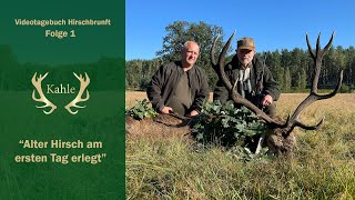 Alter Hirsch am ersten Tag erlegt [upl. by Annod]