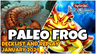 PALEO FROG DUEL LINKS  JANUARY 2024 RANKED DUEL REPLAY AND DECKLIST YUGIOH [upl. by Goldarina551]