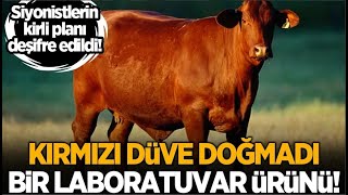 O DÜVE KESİLİRSE NE OLUR SEÇİM SONUÇLARI VE KIRMIZI DÜVE KEHANETİ [upl. by Norved]