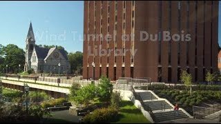 UMass Amherst  5 Things I Wish I Knew About Before Attending [upl. by Oicnedurp]