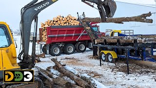 Making TriAxle Loads of Firewood wDyna SC16 Processor [upl. by Guntar286]