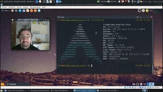 Archlinuxiser une Anarchy Linux [upl. by Itra]