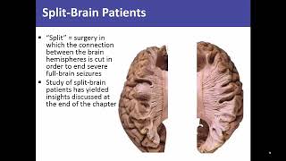 Module 5  Tools of Discovery and Older Brain Structures [upl. by Remos534]