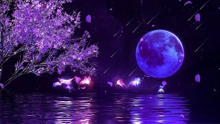 FALL INTO SLEEP INSTANTLY ★︎ Relaxing Music to Reduce Anxiety and Help You Sleep ★︎ Meditation 2 [upl. by Hillhouse]