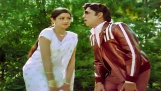 Panchami Poota Manchidhani Video Song  Sri Ranga Neethulu Movie  A N R Sridevi  Volga Music Box [upl. by Lakym]