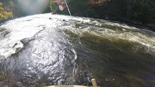 Fly Fishing the Magalloway River NW Maine [upl. by Emelita]