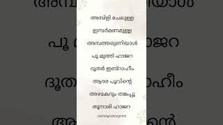 Ambili chelulla🤍Islamic song lyrics✨Retrohitz malayalamsong songlyrics ambilichelulla islamic [upl. by Ellennej650]