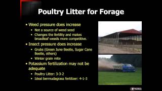 Poultry Litter Use in Forage Crop Production [upl. by Aynatan]