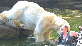 100 Unbelievable Animal Encounters Caught on Camera in 1 Hour 2 [upl. by Blood]