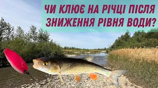 VLOG 14 ловля на річці в Карпатах коли рівень води знижується [upl. by Niarb]