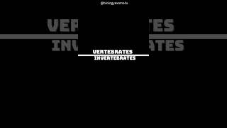 Vertebrates vs Invertebrates [upl. by Birk]