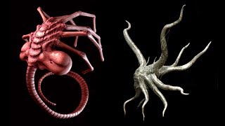 All Alien FACEHUGGER Species [upl. by Nadeau]