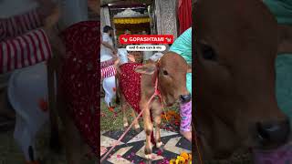 Gopaastami ki hardik shubhkamnaye 🙏🙏gaumata Mangalbhaipatel [upl. by Bornstein247]