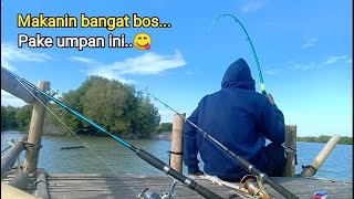 Mancing di bagang muara beting lihat hasil akhirnya [upl. by Akzseinga]