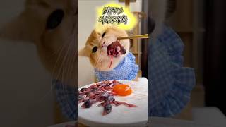 Cat also likes to eat birds  ASMR Cat Mukbang 🐦🥩asmr mukbang cat shorts [upl. by Kenrick]