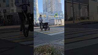 Bugaboo Fox 5 создана для приятных прогулок по любым дорогам коляска детскаяколяска бугабу fox5 [upl. by Turro]