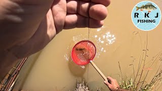 Catching Yabbies With The Meat And String Technique Baited Lines [upl. by Llenwad730]