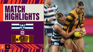 Geelong v Hawthorn Highlights  Week Five 2024  AFL [upl. by Audrey]