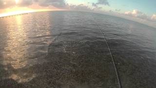 Belize DIY bonefishing [upl. by Htiek]