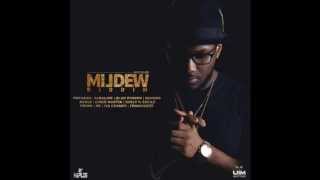 High GradeMildew Riddim by Rudeboy Jett  2015 VI Hip Hop Dancehall [upl. by Sharlene]