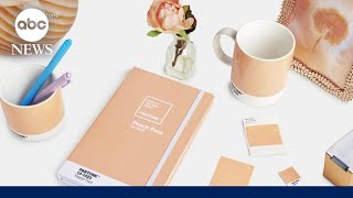 Pantone announces its 2024 color of the year Peach Fuzz [upl. by Annavoj]