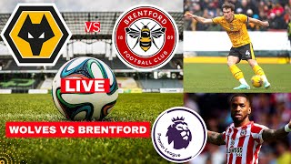 Wolves vs Brentford Live Stream Premier League Football EPL Match Today Score Highlights Vivo 2024 [upl. by Deron201]