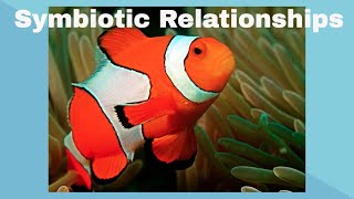 Examples of Symbiotic Relationships [upl. by Sonstrom559]