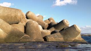 Tetrapod Coastal protection by BETONBLOCK® [upl. by Ahselat]