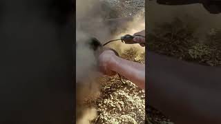 Cleaning air filter 🚜 [upl. by Engdahl]