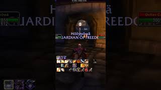 Retribution Paladin World of Warcraft Classic SoD Stockades worldofwarcraft games gaming [upl. by Kirby]