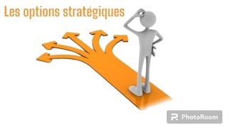 📌EOAE  👉 Résumé des options stratégiques 2 Bac économie SESGC Darija présentation globale 👌 [upl. by Ecnarretal]