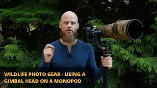 Wildlife Photography Gear  Using a Gimbal Head on a Monopod 2020 [upl. by Sahcnip951]