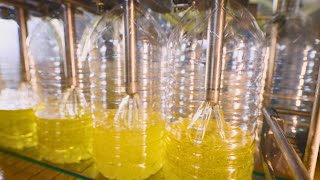 How its Made Sunflower Oil [upl. by Nicolette694]