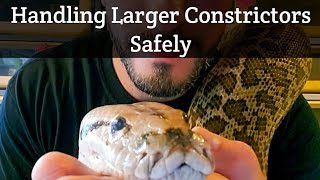 Handling Large Constrictors Safely Burmese Pythons Reticulated Pythons Anacondas [upl. by Letnahs]