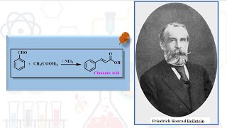 Understanding the Mechanism of Cinnamic Acid Synthesis StepbyStep cinnamicacid acid [upl. by Fowkes996]