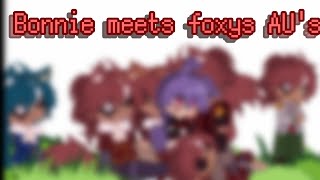 Bonnie meets Foxy AUs  Foxy x bonnieFonnie  inspired by the mha fandom [upl. by Haymo862]