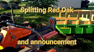 47 Splitting Red Oak inventory and Announcement [upl. by Ferde]