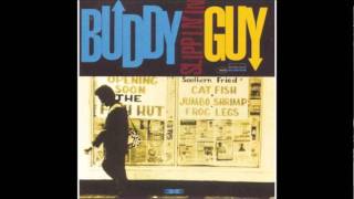 Buddy Guy  Cities need help [upl. by Neiluj]