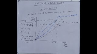 SSTtariff amp Metzler Paradox [upl. by Nelrah]