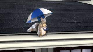 LeafGuard Gutter Squirrel Commercial for 2013 Season [upl. by Anita]