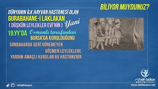 Dünyanın İlk Hayvan Hastahanesi Gurabahanei Laklakan [upl. by Hahsia]