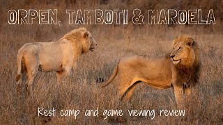 ORPEN TAMBOTI amp MAROELA Rest Camp amp Game Viewing Review  Kruger National Park Accommodation 5 [upl. by Aneles729]