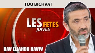 FETES JUIVES  TOU BICHVAT  Rav Eliahou Haviv [upl. by Naginarb691]