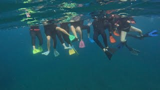 Mudjimba Island Swim  30 June 2024 [upl. by Gniy]