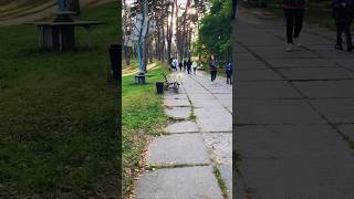 Zhytomyr Гидропарк autumn nature weekend goodday life love парк [upl. by Washington]